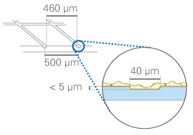 （ibidi）μ-Dish 35 mm帶計(jì)數(shù)格培養(yǎng)皿-80156 80151 81166 81161 81148 81168